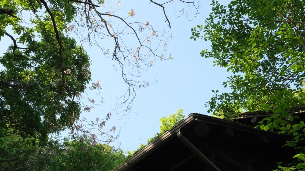 Apartament Rock&Wood Cozy House Hangzhou Zewnętrze zdjęcie